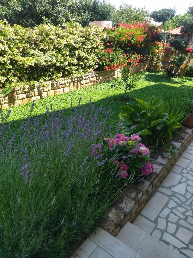 Zelena Oaza Apartment Novigrad Istria Εξωτερικό φωτογραφία