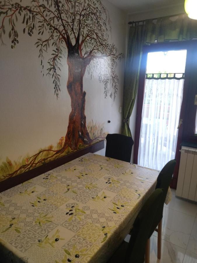 Zelena Oaza Apartment Novigrad Istria Εξωτερικό φωτογραφία