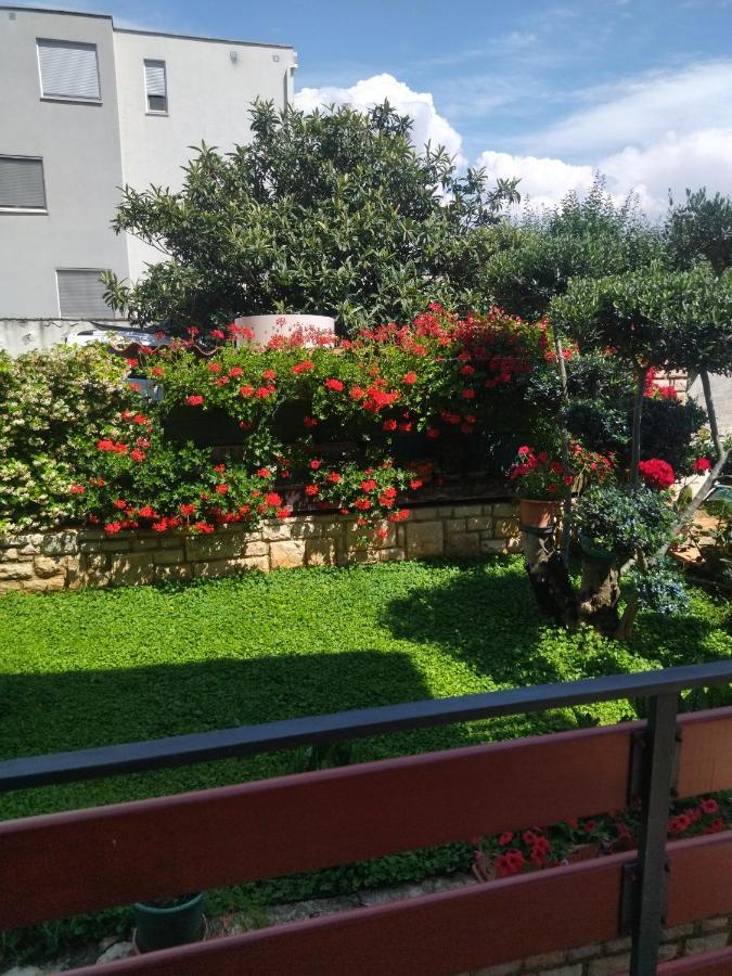 Zelena Oaza Apartment Novigrad Istria Εξωτερικό φωτογραφία