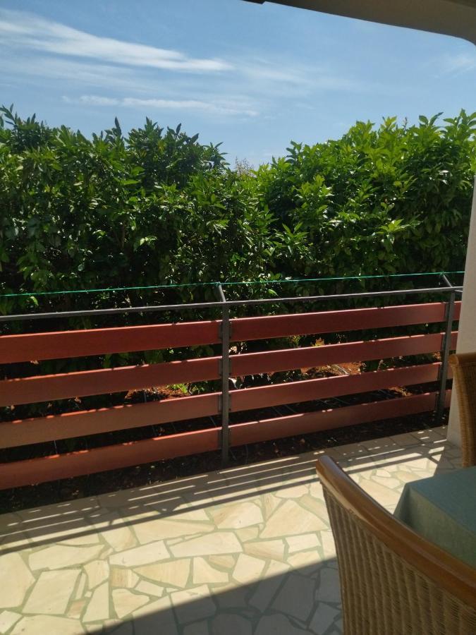 Zelena Oaza Apartment Novigrad Istria Εξωτερικό φωτογραφία