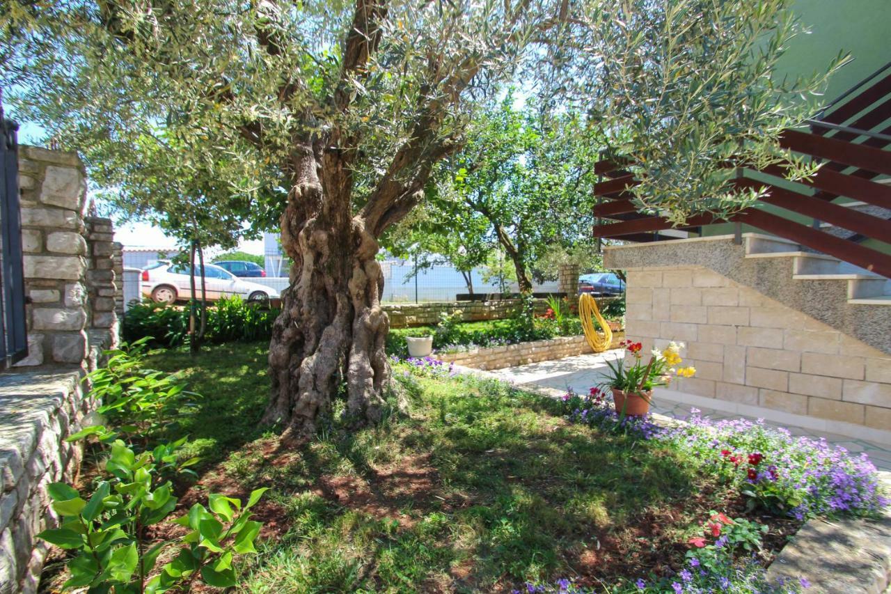 Zelena Oaza Apartment Novigrad Istria Εξωτερικό φωτογραφία